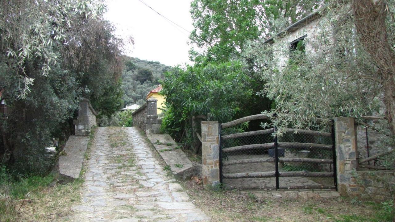 Razi Beach Λεφόκαστρο Εξωτερικό φωτογραφία